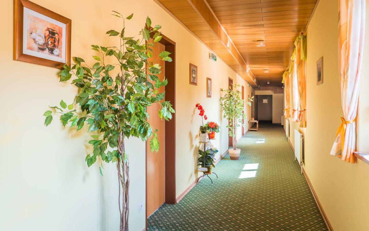Hotel Garni Steinfeld Wiener Neustadt Extérieur photo